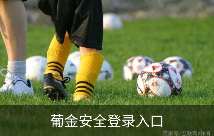 葡金安全登录入口概况